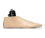 Avalon K2 Prosthetic Limb South Africa Med Roma Cc Shoe Liner1